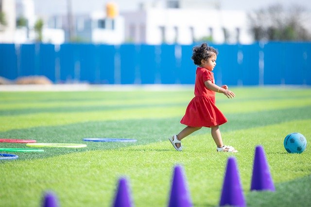 扔向了场内 扔向了场内