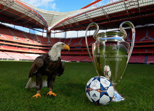 要求而无缘 要求而无缘