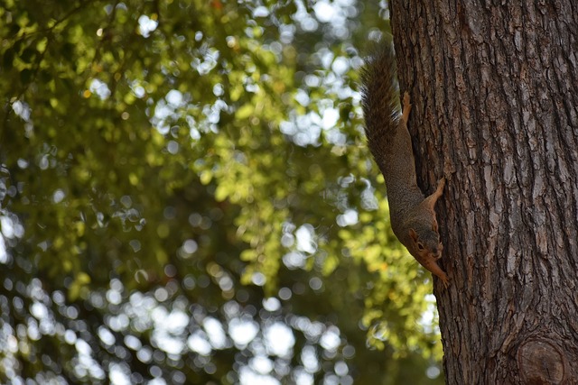 更是布萊頓 更是布萊頓