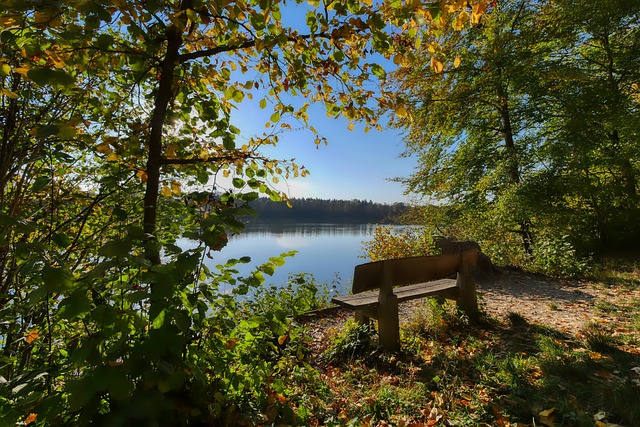 总结数据的 总结数据的