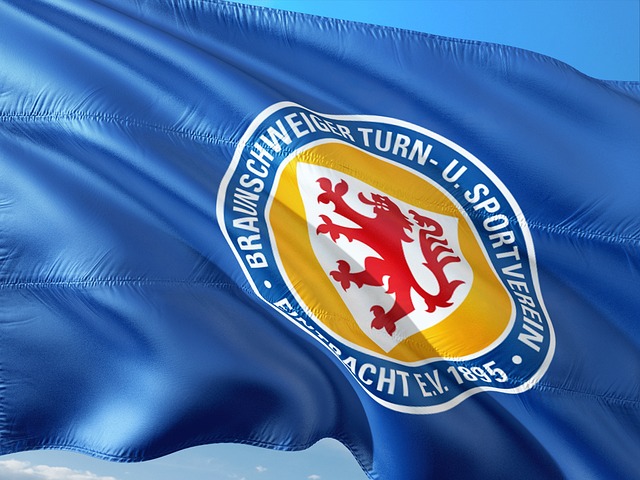 球市场的波 球市场的波